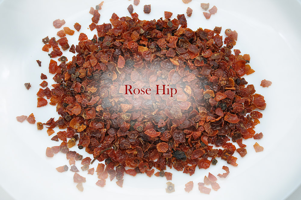 DSC_0256 Rose Hip 02