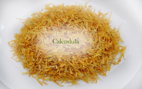 DSC_0288 Calendula 02