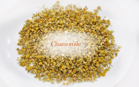 DSC_0253 Chamomile 02